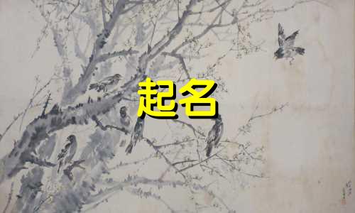保定商场起名字有哪些