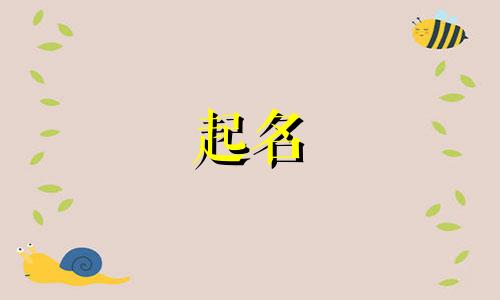 公司起名的软件有哪些好