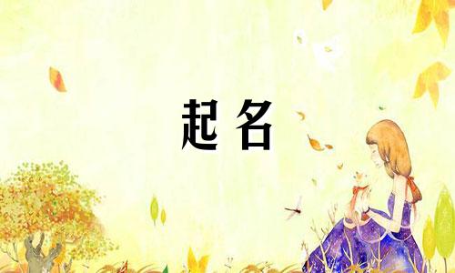 水兔起名禁忌有哪些名字