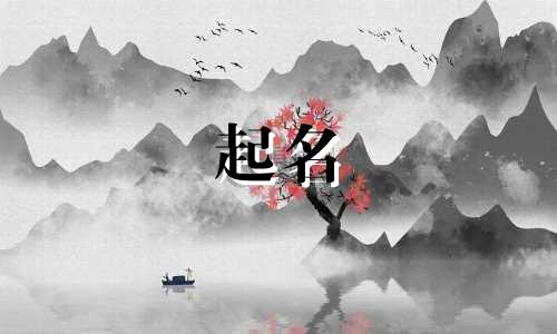 沙雕起名环节有哪些内容