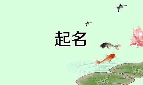 日语起名的字有哪些名字