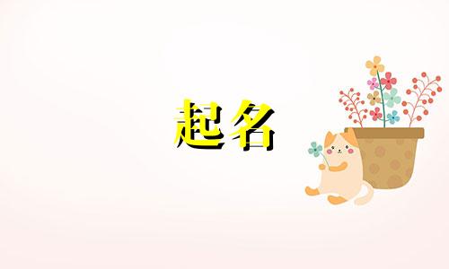 起名女孩小名数字有哪些