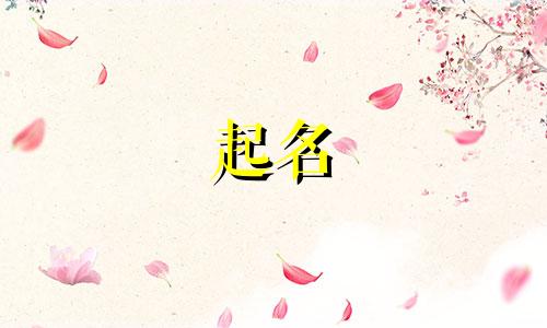 起名男孩土名字有哪些字