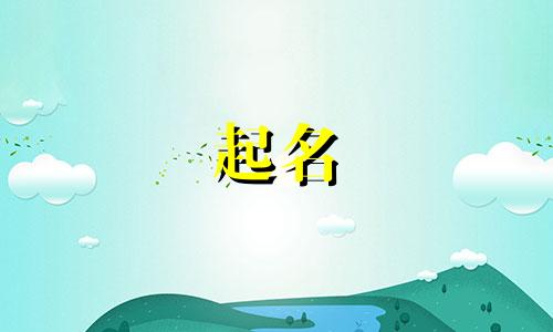 鸡宝宝起名软件有哪些好