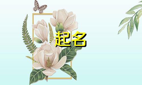 海贼中的起名方式有哪些