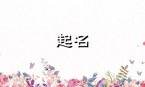 食品名称起名规则有哪些