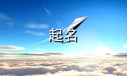 起名的关键文案有哪些字