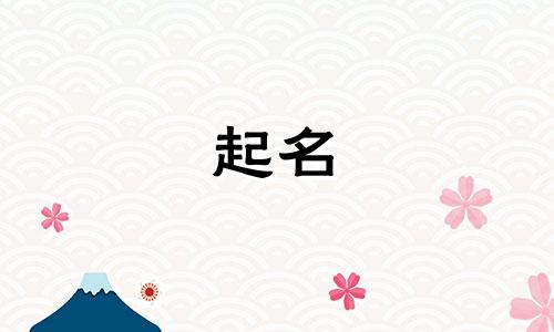 以巧克力起名的食品有哪些