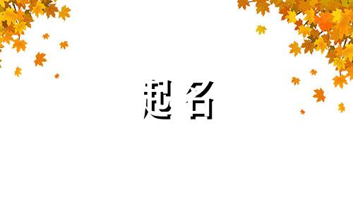 船舶起名的规定有哪些要求