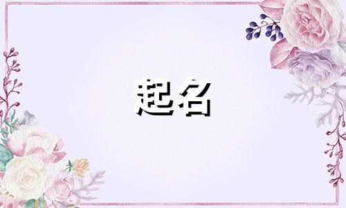点亮地图的起名软件有哪些