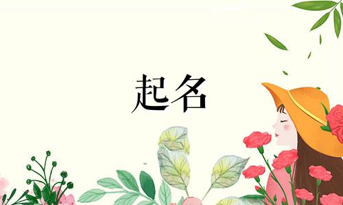 字起名女孩最佳名字有哪些