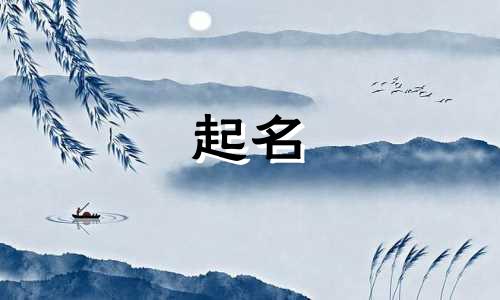 起名最好的店铺名字有哪些