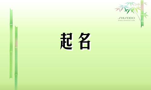 域名的起名标准有哪些要求
