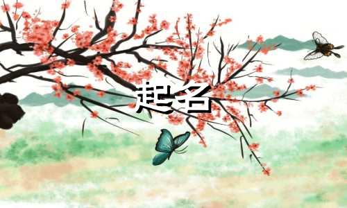 成人起名神器小程序有哪些