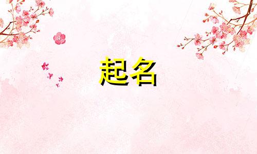 给狐狸起名哪些好听的名字
