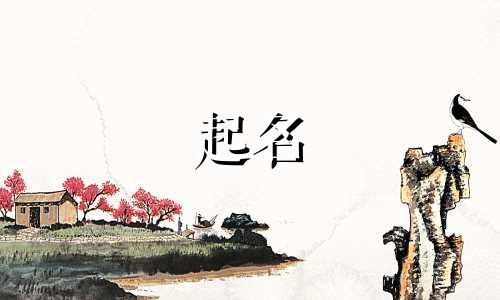 由网友起名的歌曲有哪些