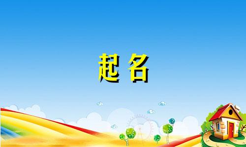 由网友起名的歌有哪些