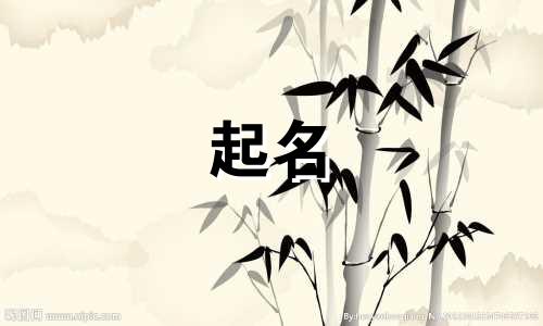 雅致的宝宝起名说法有哪些