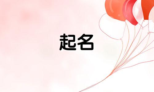 包的品牌起名有哪些字体