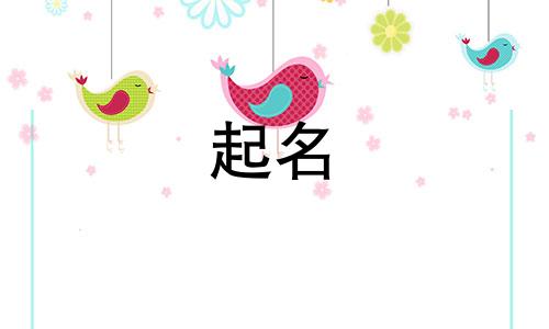 用新字起名的名人有哪些
