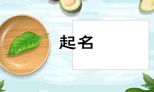 起名字都有哪些字好呢