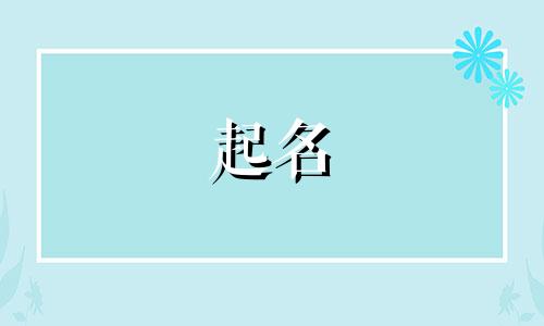 起名打分免费测试软件有哪些