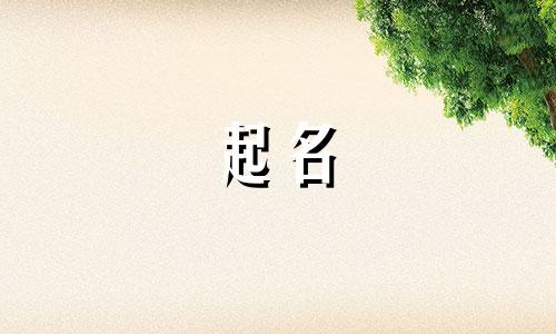 公司起名高端的字有哪些