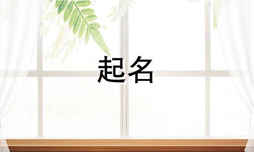自带软件起名的软件有哪些