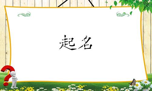 二字随机起名软件有哪些
