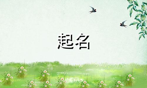 儿童课程起名推荐语言有哪些