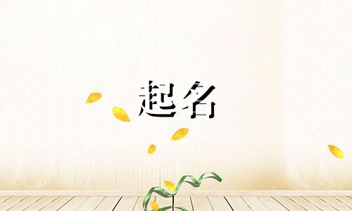 软床牌子起名字有哪些