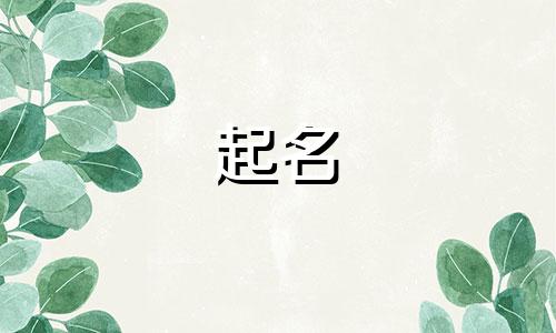 不会起名的小明字有哪些