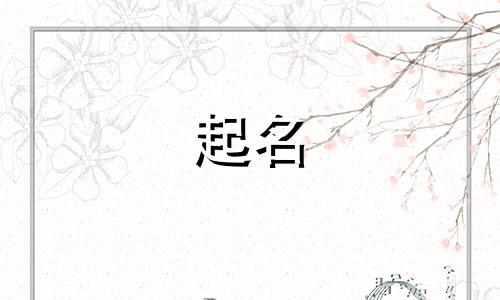 在线店铺起名软件有哪些