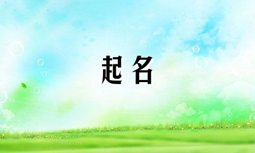 快题设计起名软件有哪些