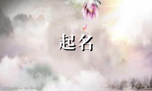 摄影师起名软件有哪些