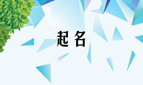 公司起名字网站有哪些