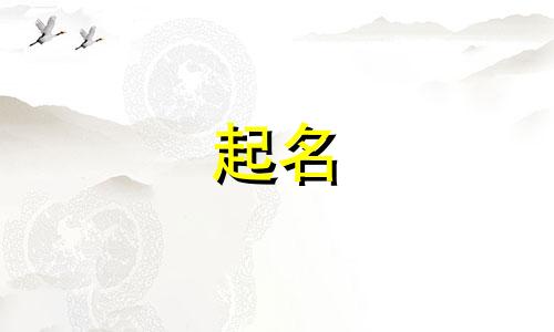 起名行业特点有哪些方面
