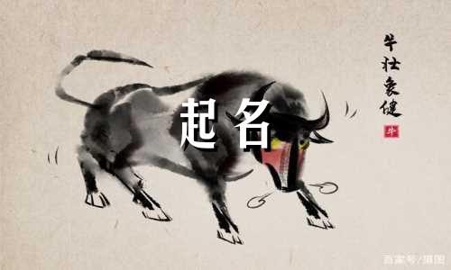 婴儿起名字方法有哪些