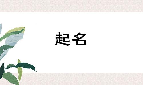 用物品起名神器有哪些名字