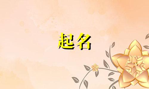 超市起名的影响因素有哪些