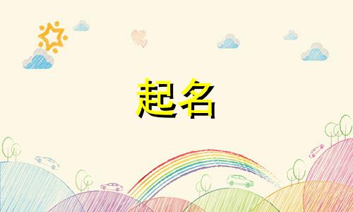 给猫咪起名的东西有哪些
