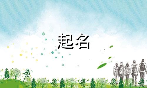 网友起名姓张的名字有哪些