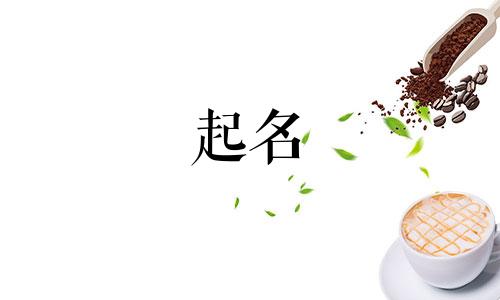 合肥宝宝起名店铺名字有哪些