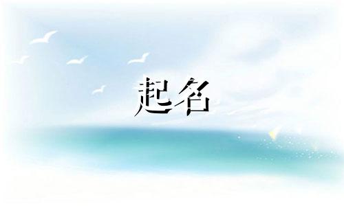 游戏中的起名格式有哪些