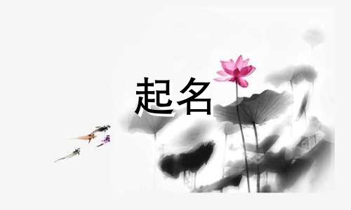 码字起名的软件有哪些好用