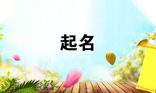 九画女儿起名有哪些字