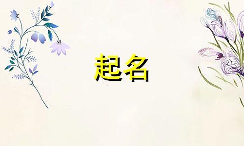 靠谱的起名软件有哪些