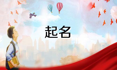 公司起名关键字有哪些