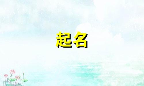 智慧起名软件公司有哪些