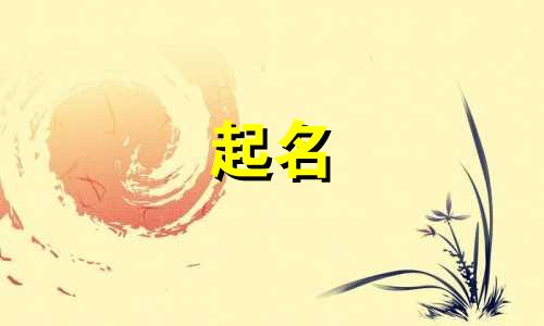投教平台起名软件有哪些